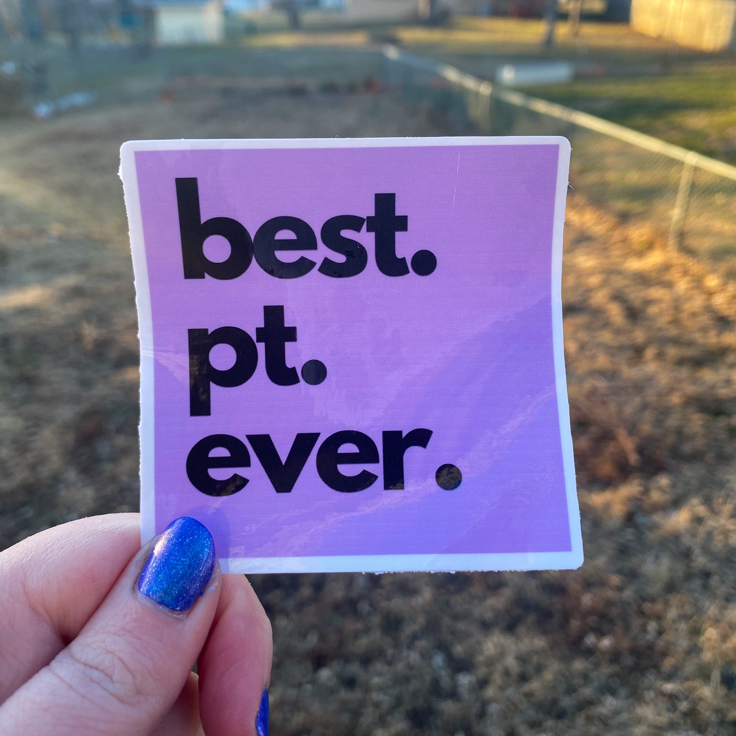 Best Teacher/Therapist Ever Vinyl Sticker