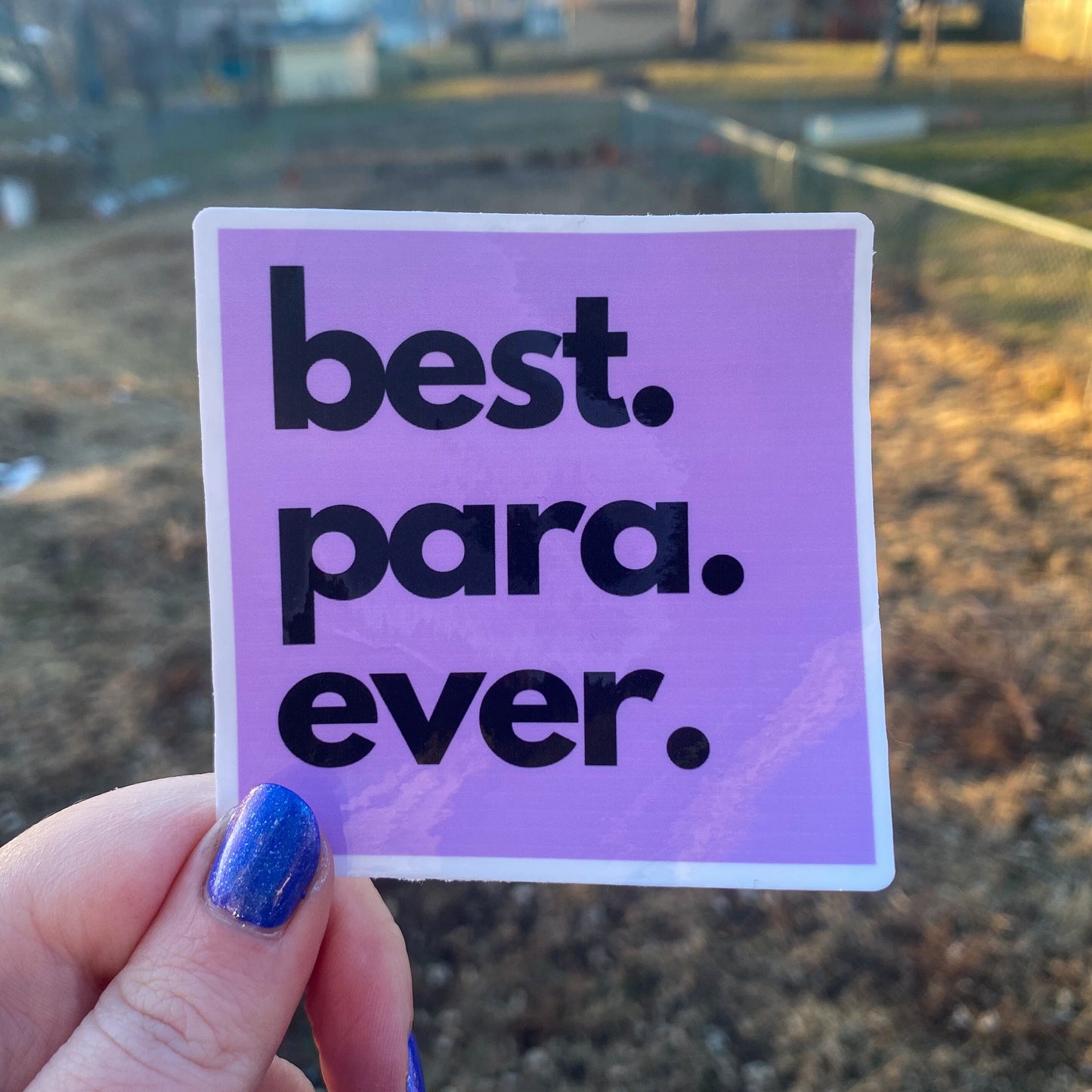 Best Teacher/Therapist Ever Vinyl Sticker