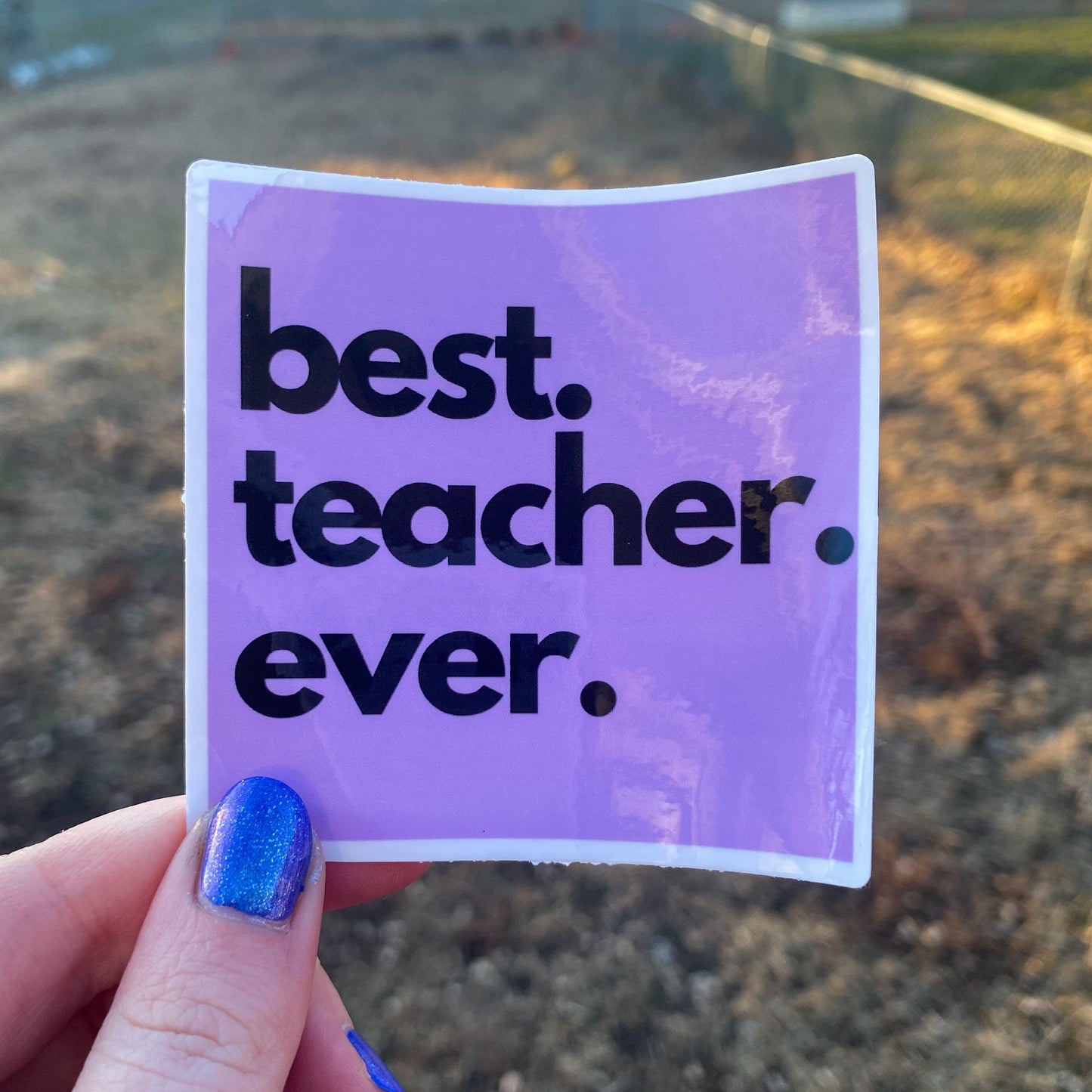 Best Teacher/Therapist Ever Vinyl Sticker