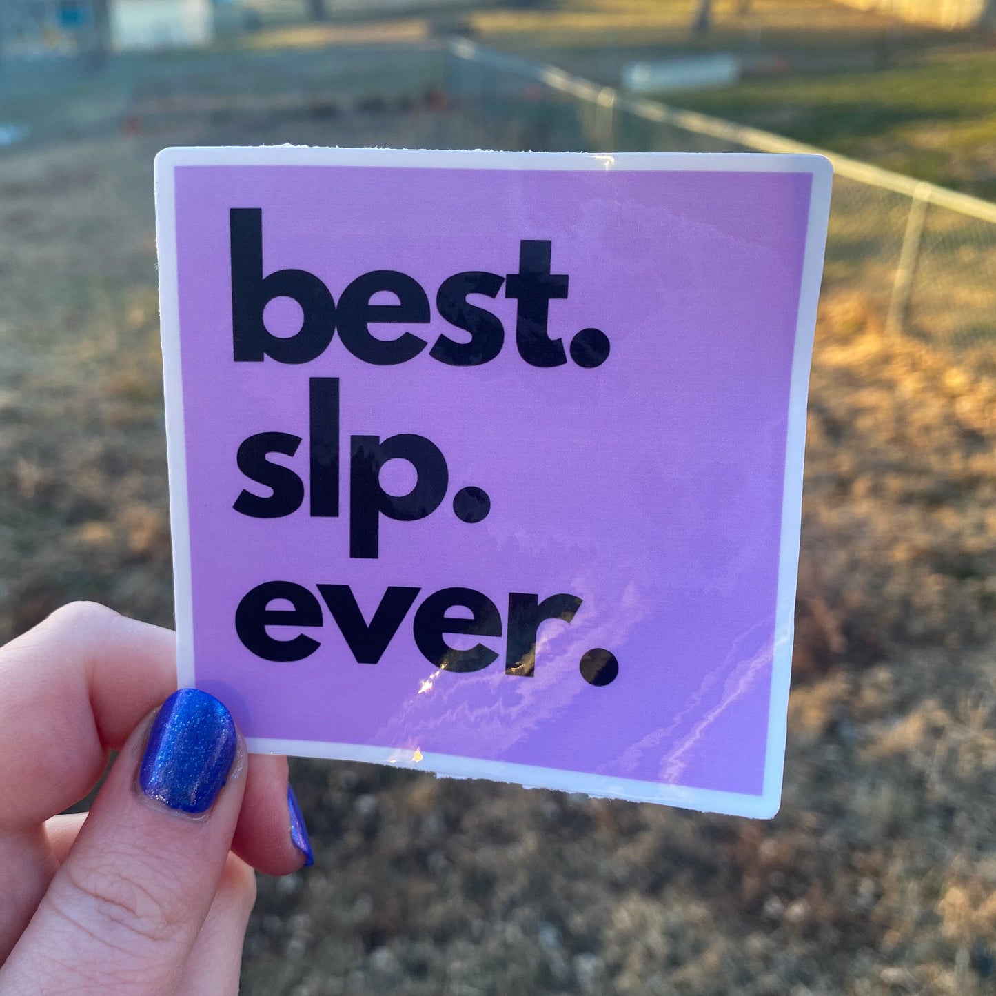 Best Teacher/Therapist Ever Vinyl Sticker