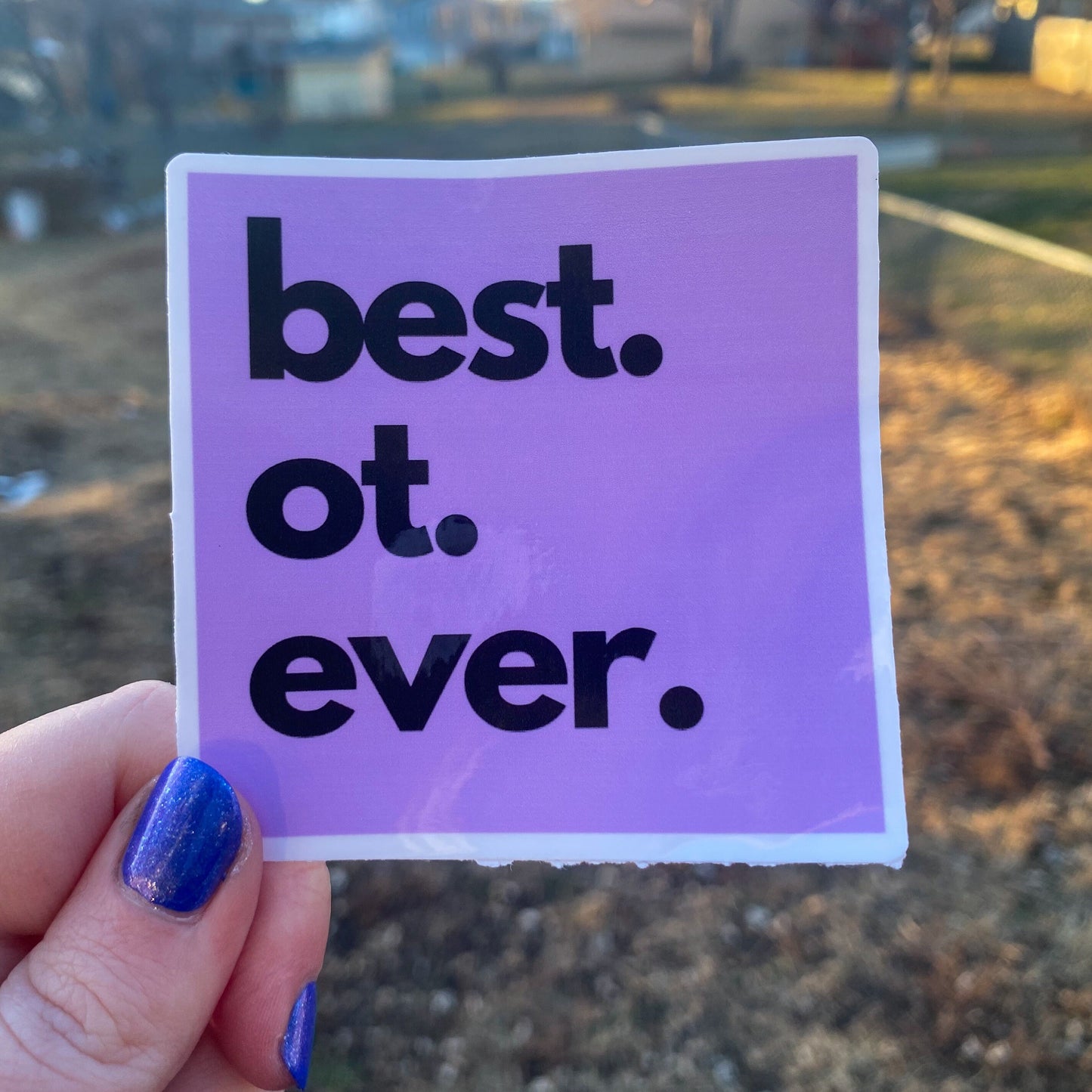 Best Teacher/Therapist Ever Vinyl Sticker